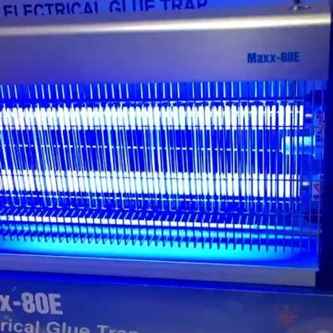 Đèn diệt côn trùng Maxx 80E - Bẫy muỗi hiệu quả 95% với ánh sáng UV an toàn, vùng hoạt động 80-100m2, tiết kiệm điện, chống ồn.