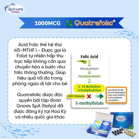 Vitamin cho bà bầu Avisure Mama - Bổ sung đầy đủ sắt, DHA, vitamin, khoáng chất - Hộp 60 viên cho mẹ và thai nhi khỏe mạnh