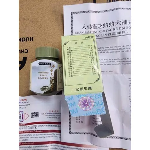 Nhân Sâm Linh Chi Tắc Kè Đại Bổ Hoàn Wise - Hỗ Trợ Tăng Cân, Ăn Ngon, Ngủ Ngon - Sản Phẩm Dinh Dưỡng Từ Thiên Nhiên 30 Viên