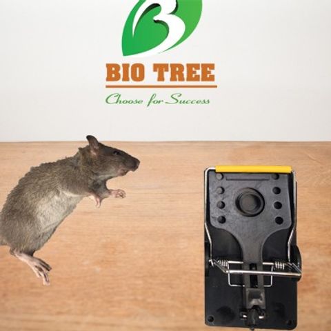 Bẫy Chuột Sập Thông Minh Bio - Bẫy Nhựa Siêu Nhạy, Dễ Dàng Vệ Sinh, Thiết Kế Gọn Nhẹ, Diệt Côn Trùng Hiệu Quả