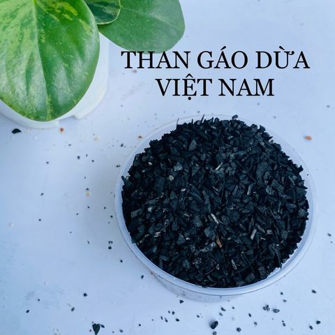 Than Gáo Dừa Việt Nam Lọc Nước - Hạt Than Tự Nhiên Hấp Phụ Clo, Mùi Hôi, Kim Loại Nặng - Sản Phẩm Thân Thiện Môi Trường