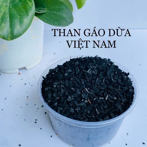 Than Gáo Dừa Việt Nam Lọc Nước - Hạt Than Tự Nhiên Hấp Phụ Clo, Mùi Hôi, Kim Loại Nặng - Sản Phẩm Thân Thiện Môi Trường