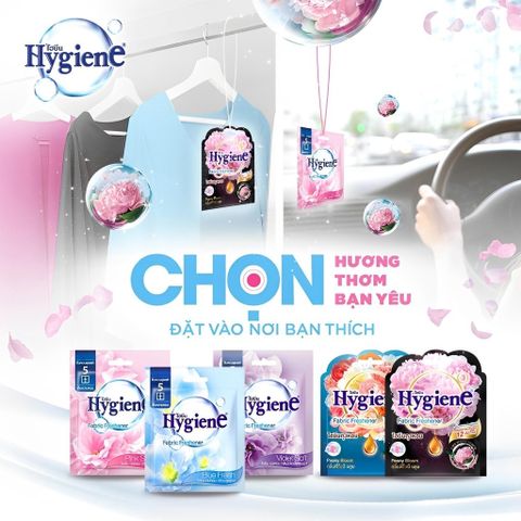 Túi Thơm Để Tủ Quần Áo Hygiene  Hương Hoa Thơm Phòng Treo Xe Phòng Ngủ Loại Bỏ Ẩm Mốc 376015