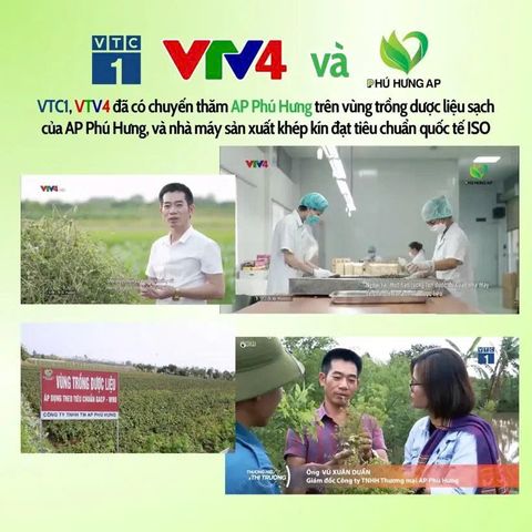 Trà Giảo Cổ Lam AP Phú Hưng - Hỗ Trợ Huyết Áp, Giảm Mỡ Máu & Phòng Ngừa Bệnh Tim Mạch - Thảo Mộc Tự Nhiên 75g