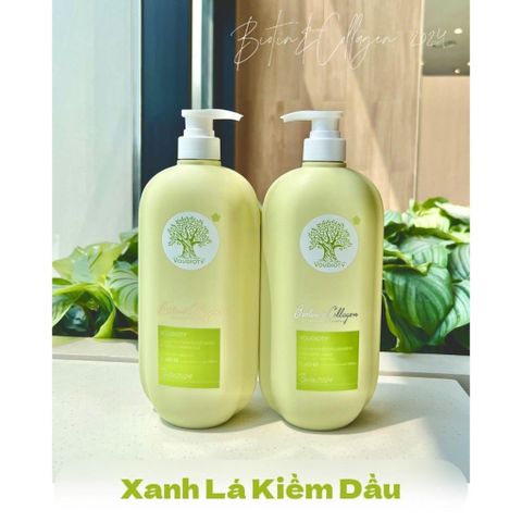 Cặp Dầu Gội Dưỡng Tóc Dầu Voudioty Biotin Collagen - Giải Pháp Sạch Sẽ và Khỏe Mạnh Cho Tóc Dầu Xanh Lá