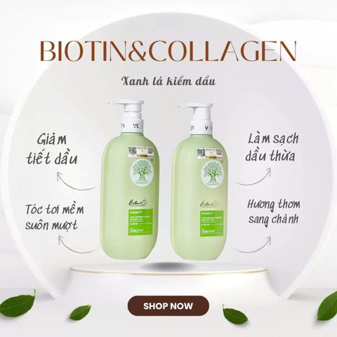 Cặp Dầu Gội Dưỡng Tóc Dầu Voudioty Biotin Collagen - Giải Pháp Sạch Sẽ và Khỏe Mạnh Cho Tóc Dầu Xanh Lá