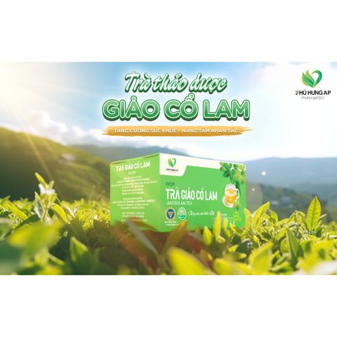 Trà Giảo Cổ Lam Phú Hưng AP - Hỗ Trợ Ổn Định Huyết Áp, Giảm Mỡ Máu, Phòng Ngừa Bệnh Tim Mạch, Giải Khát Tự Nhiên