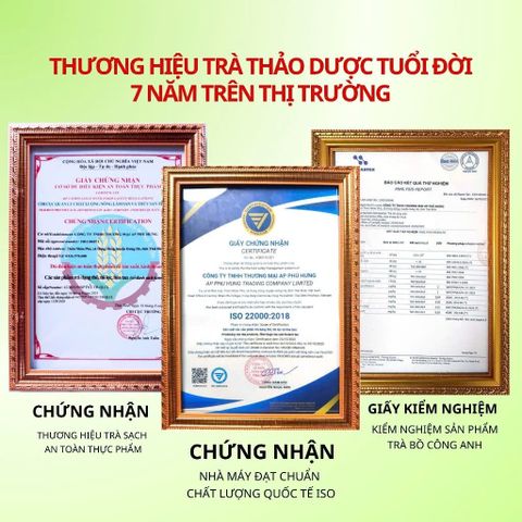Trà Bồ Công Anh Phú Hưng AP - Hỗ Trợ Làm Đẹp Da, Chống Viêm, Thanh Nhiệt, Lợi Sữa, Thảo Dược Tự Nhiên Detox Cơ Thể