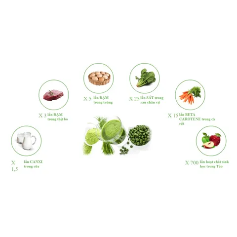 Viên Uống Tảo Spirulina Spimate Plus Nhật Bản Hỗ Trợ Sức Khỏe 600 Viên - Bổ Sung Dinh Dưỡng Tự Nhiên cho Cả Gia Đình