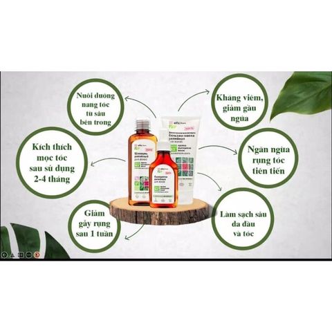 Dầu Gội Chống Rụng Tóc & Kích Mọc Tóc Elfa Pharm - Bộ Dầu Gội Xả và Serum Từ Cây Ngưu Bàng, Xuất Xứ Ba Lan