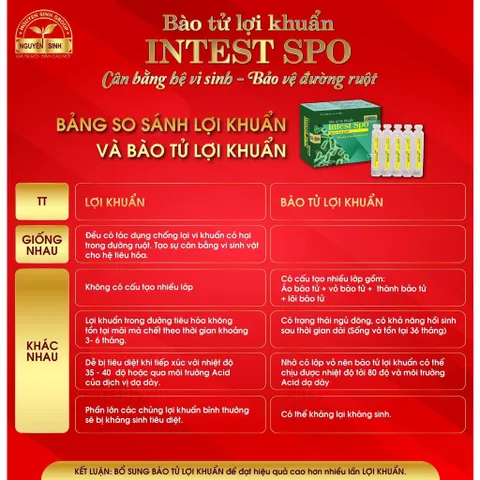 Bào Tử Lợi Khuẩn Intest Spo NSG - Hỗ Trợ Tiêu Hóa, Cải Thiện Hệ Đường Ruột và Tăng Cường Hấp Thụ Dinh Dưỡng - Hộp 4 Vỉ 5 Ống 10ml