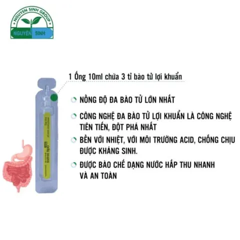Bào Tử Lợi Khuẩn Intest Spo NSG - Hỗ Trợ Tiêu Hóa, Cải Thiện Hệ Đường Ruột và Tăng Cường Hấp Thụ Dinh Dưỡng - Hộp 4 Vỉ 5 Ống 10ml
