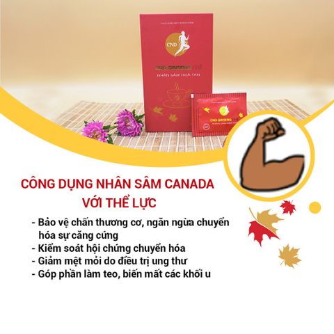 Nhân Sâm Hoà Tan CND GINSENG Red - Hỗ Trợ Bổ Thận Dương, Giảm Mệt Mỏi, Tăng Cường Sức Khỏe - 30 Gói Cao Khô Bột Nhân Sâm Canada