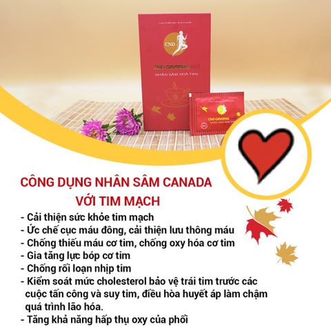 Nhân Sâm Hoà Tan CND GINSENG Red - Hỗ Trợ Bổ Thận Dương, Giảm Mệt Mỏi, Tăng Cường Sức Khỏe - 30 Gói Cao Khô Bột Nhân Sâm Canada
