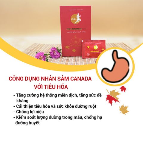 Nhân Sâm Hoà Tan CND GINSENG Red - Hỗ Trợ Bổ Thận Dương, Giảm Mệt Mỏi, Tăng Cường Sức Khỏe - 30 Gói Cao Khô Bột Nhân Sâm Canada