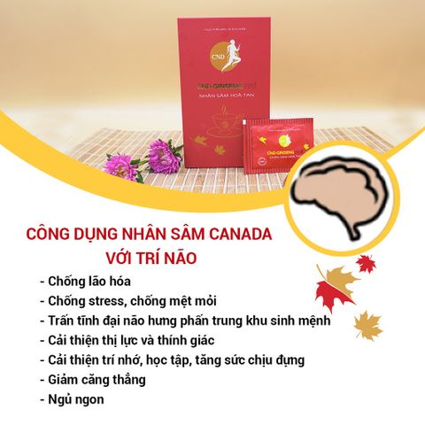 Nhân Sâm Hoà Tan CND GINSENG Red - Hỗ Trợ Bổ Thận Dương, Giảm Mệt Mỏi, Tăng Cường Sức Khỏe - 30 Gói Cao Khô Bột Nhân Sâm Canada