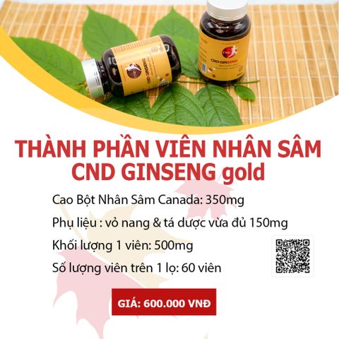 Viên Uống Nhân Sâm CND GINSENG GOLD Canada - Tăng Cường Sức Khỏe, Đề Kháng, Giảm Mệt Mỏi, Tỉnh Tảo, 60 Viên 500mg