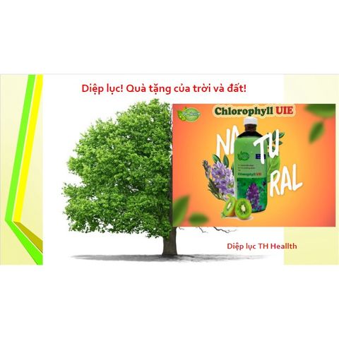 Diệp Lục TH-Chlorophyll UIE Plus 500ml - Hỗ Trợ Thanh Lọc Cơ Thể, Tăng Cường Sức Đề Kháng, Giảm Oxy Hóa