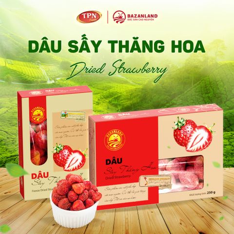 Dâu Sấy Thăng Hoa Bazanland - Đặc Sản Trái Cây Ngọt Dịu, Chua Nhẹ Từ Dâu Tây Tươi - Hộp Tiện Lợi 35g/70g