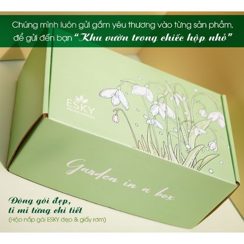 Set Quà Tặng Tinh Dầu Khuếch Tán Cắm Que ESKY AROMA GARDEN - Quà Tặng Ý Nghĩa Sinh Nhật Nam Nữ, Tạo Hương Thơm Thư Giãn 20/11