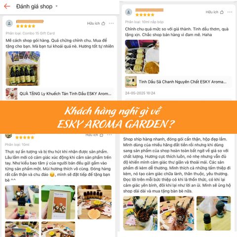 Tinh Dầu Khuếch Tán ESKY AROMA GARDEN - Tinh Dầu Cắm Que Thơm Phòng 10ml/20ml