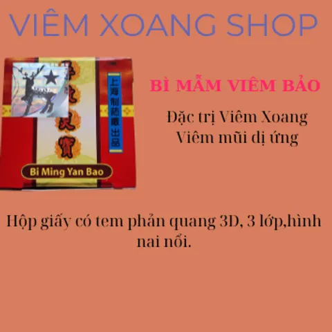 BI MẪM VIÊM BẢO VIÊM XOANG VIÊM MŨI DỊ ỨNG
