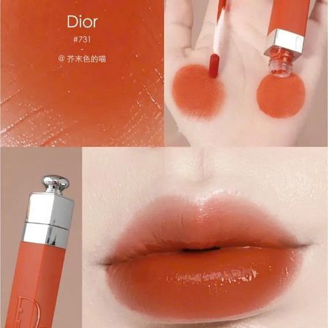 Son Dior Addict Lip Tint 731 Natural Ginger - Son Môi Màu Cam Gạch Dưỡng Ẩm Cao Cấp Chính Hãng từ Dior