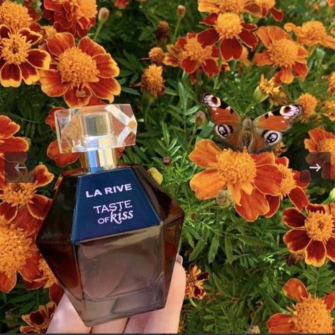 Nước Hoa Taste Of Kiss LA RIVE 100ml - Dupe La Nuit Trésor Lancôme Thơm Ngọt Ngào, Hương Hoa Hồng Đen và Vani Quyến Rũ