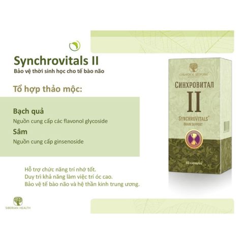 Thực Phẩm Bảo Vệ Sức Khỏe Synchrovitals II - Hỗ Trợ Não Bộ Tăng Cường Trí Nhớ - 60 Viên Ginsenoside, Flavonol Glycoside, Baicalin