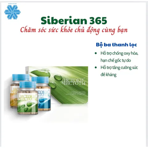 Bộ 3 Trà Thải Độc Renaissance Triple Set - Hỗ Trợ Tiêu Hóa & Tăng Cường Sức Đề Kháng - 180 Viên Siberian Wellness