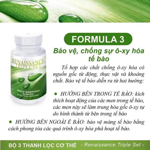 Bộ 3 Trà Thải Độc Renaissance Triple Set - Hỗ Trợ Tiêu Hóa & Tăng Cường Sức Đề Kháng - 180 Viên Siberian Wellness