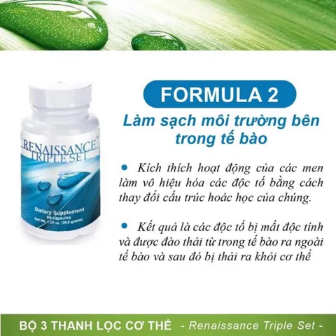Bộ 3 Trà Thải Độc Renaissance Triple Set - Hỗ Trợ Tiêu Hóa & Tăng Cường Sức Đề Kháng - 180 Viên Siberian Wellness