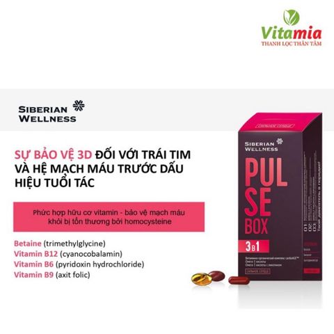Hỗ Trợ Tim Mạch Pulse Box - Siberian Wellness Giảm Nguy Cơ Xơ Vữa Động Mạch, Chống Đột Quỵ, Hỗ Trợ Đồng Máu, Tăng Cường Sức Khỏe Tim Mạch