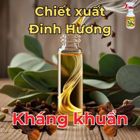 Tinh Dầu ASA Xua Đuổi Côn Trùng - Xịt Gián, Kiến, Ruồi, Muỗi với Camphor và Tinh Dầu Thiên Nhiên - Khử Mùi, An Toàn Cho Mọi Không Gian