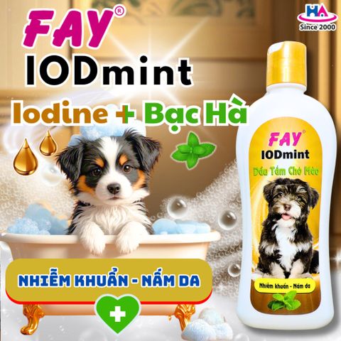 Dầu Tắm Chó Mèo FAY IODMINT 300ml - Diệt Khuẩn, Ngăn Ngừa Nấm Da, Giúp Vết Thương Mau Lành với Tinh Dầu Bạc Hà