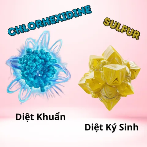 Sữa Tắm Chó Mèo FAY ASC 290ml - Giải Quyết Ngứa, Ghẻ, Viêm Da, Hỗ Trợ Chăm Sóc Da Lông Cho Thú Cưng