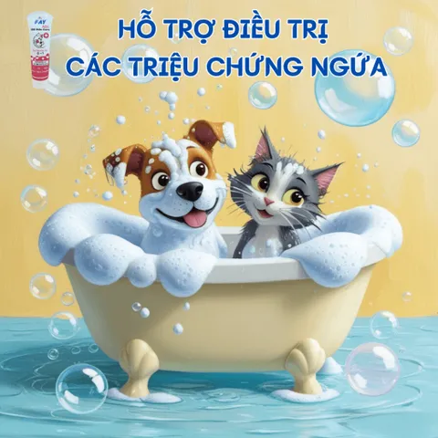 Sữa Tắm Chó Mèo FAY ASC 290ml - Giải Quyết Ngứa, Ghẻ, Viêm Da, Hỗ Trợ Chăm Sóc Da Lông Cho Thú Cưng