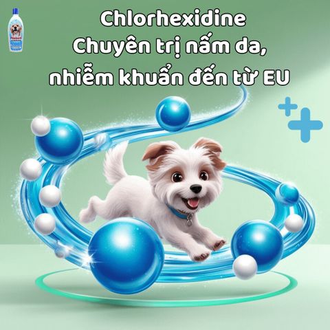 Dầu tắm chó mèo Plotoon Chlorhexidine - Giải pháp chăm sóc da, kháng viêm và làm sạch hiệu quả cho thú cưng
