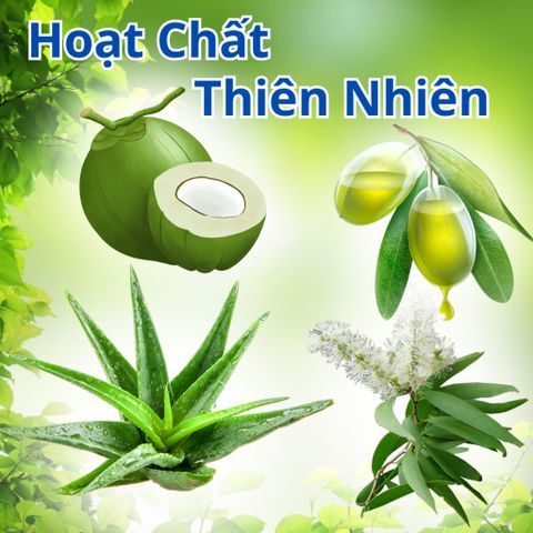 Dầu Tắm Chó Mèo Plotoon Maxx - Khử Mùi, Sạch Ve Cho Lông Mượt, Chiết Xuất Nha Đam - Hương Liệu Châu Âu 300ml