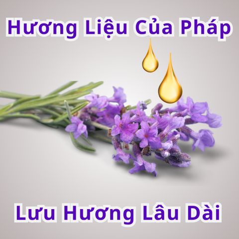 Dầu Tắm Chó Mèo Plotoon Maxx - Khử Mùi, Sạch Ve Cho Lông Mượt, Chiết Xuất Nha Đam - Hương Liệu Châu Âu 300ml