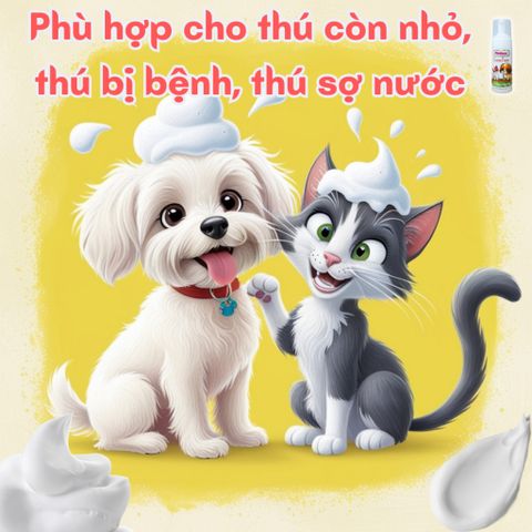 Bọt Tắm Chó Mèo Groom Foam Plotoon - Sản Phẩm Không Cần Nước, Khử Mùi Hiệu Quả, Dạng Bọt Tiện Dụng - 140ml