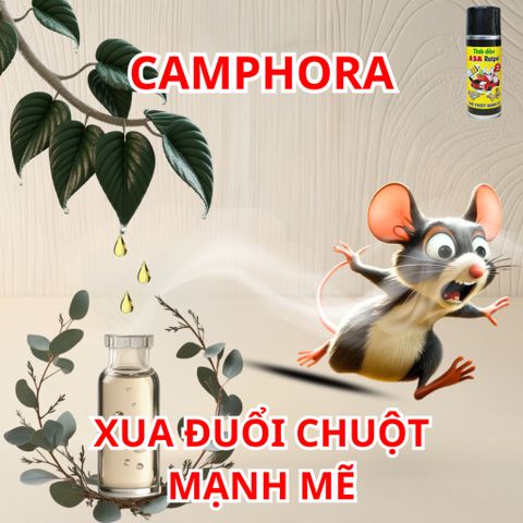Tinh Dầu Xua Đuổi Chuột ASA Ratpel 400ml - Bình Xịt Aerosol Đuổi Gặm Nhấm, Mùi Thơm Dễ Chịu Cho Ô Tô, Nhà Ở, An Toàn Cho Môi Trường