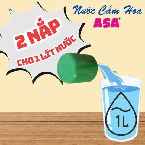 Nước Cắm Hoa ASA - Giữ Hoa Tươi Lâu, Không Thối Nước - Dễ Dàng Sử Dụng, Tiết Kiệm Thời Gian, Đậm Đặc & Phổ Thông