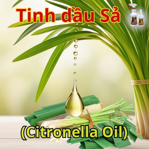 Xịt Ve Rận FAY Power - Tinh Dầu Thiên Nhiên Ngăn Ngừa Bọ Chét & Ve Rận Cho Thú Cưng, Hiệu Quả Lên Đến 1000 Giờ