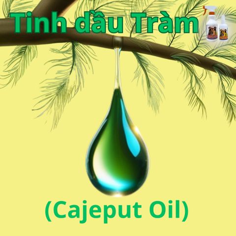 Xịt Ve Rận FAY Power - Tinh Dầu Thiên Nhiên Ngăn Ngừa Bọ Chét & Ve Rận Cho Thú Cưng, Hiệu Quả Lên Đến 1000 Giờ