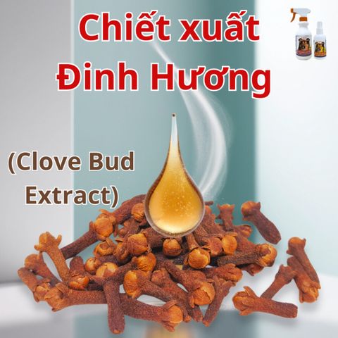 Xịt Ve Rận FAY Power - Tinh Dầu Thiên Nhiên Ngăn Ngừa Bọ Chét & Ve Rận Cho Thú Cưng, Hiệu Quả Lên Đến 1000 Giờ