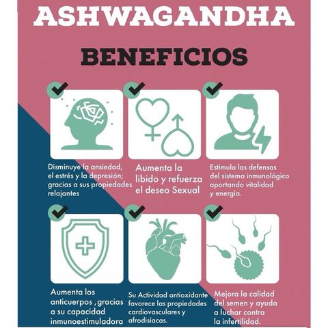 Viên Uống Nhân Sâm Ấn Độ Ashwagandha Youtheory 1000mg - Giảm Stress, Bổ Sung Sức Khỏe, Hỗ Trợ Tinh Thần và Thể Chất 180 Viên