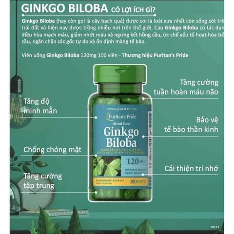 Viên uống bổ não Ginkgo Biloba 120mg Puritan's Pride - Tăng cường trí nhớ, cải thiện tuần hoàn não cho người lớn tuổi