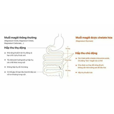 Viên uống bổ sung Magie Hỗ Trợ Xương Cơ , Hệ Thần Kinh Magnesium Glycinate 240mg Puritan's Pride / Nature’s Bounty