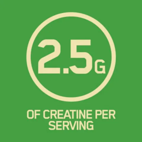 [Date 2/23] Viên uống hỗ trợ tăng cơ bắp, tăng Sức Mạnh Hồi Phục Cơ Bắp OPTIMUM NUTRITION 200v